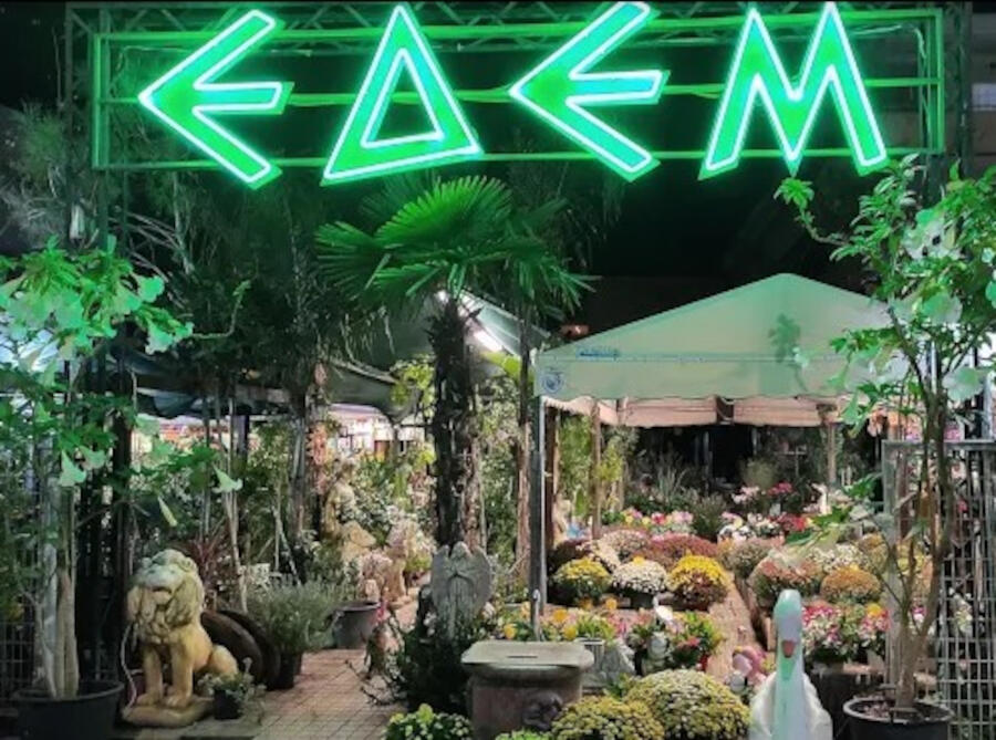 Ανθοπωλείο - Φυτώριο