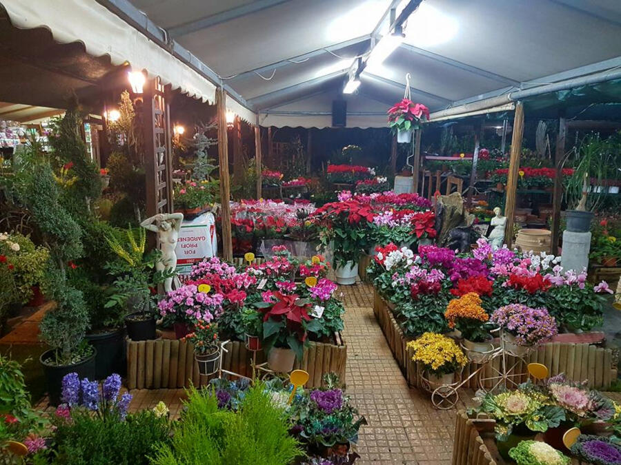 Ανθοπωλείο - Φυτώριο