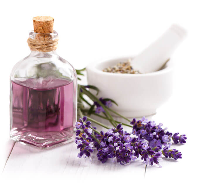 LILAC PERFUMES Αρωματοποιείο